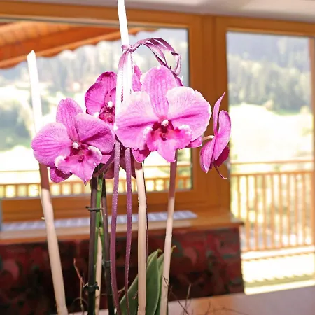 Apartamento Erika By Interhome