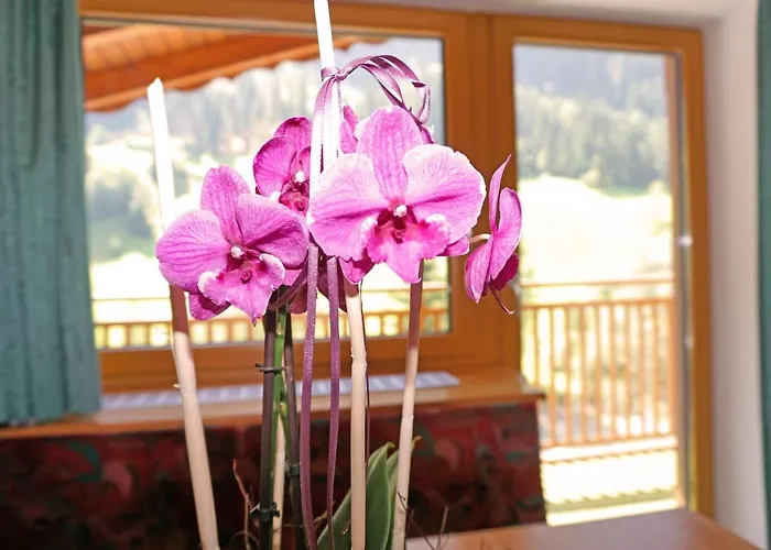 Apartment Erika By Interhome